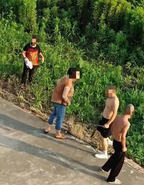 “严查到底！”江苏启东，一女子到自家菜地摘菜，家人吃了刚摘的菜后集体身体不适，前