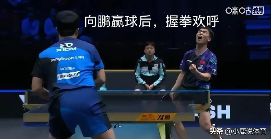 赢球却全员崩溃！向鹏3-1拿下林钟勋，全场没人觉得打得好！
 
真的是越看越揪心
