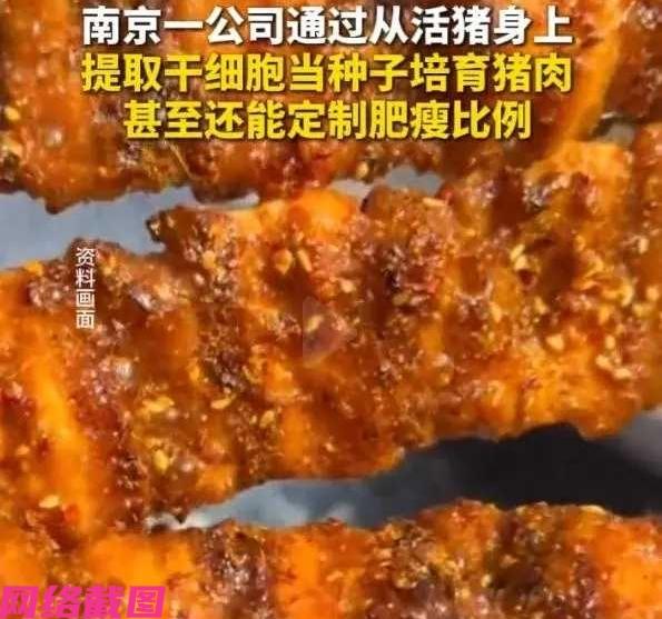 南京有家公司竟然可以没有猪肉，也能让人吃到猪肉，这是怎么一回事，这么神奇吗，这个