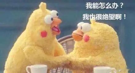 生活手记到了这个年纪，会在你耳边唱歌，喜欢你的身体，还送你包的，只剩下蚊子了