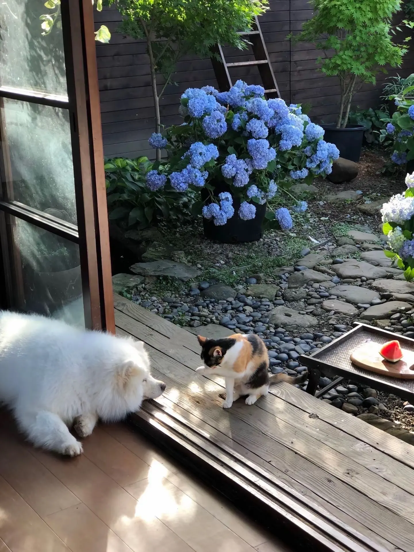 替你们试过了🍃住乡下真的很舒服～越发喜欢乡下，乡下的虫鸟鸣和慵懒的午...