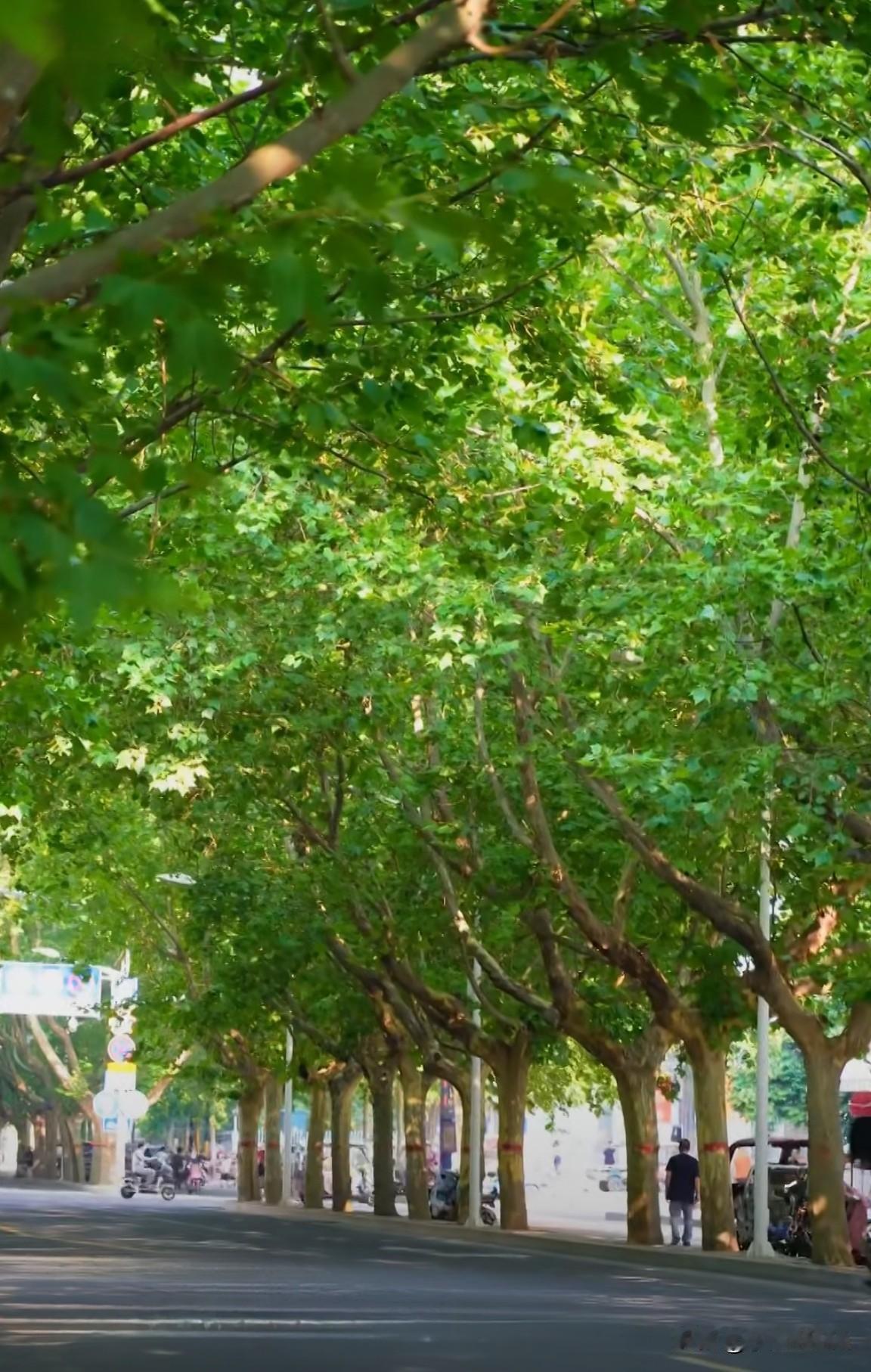 河南天气迎大回暖，晴好升温模式正式开启
 
根据河南省气象台2026年4月23日