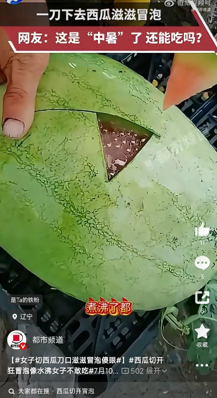 西瓜切开"咕嘟冒泡"像烧开水，女子吓傻不敢吃！

网友：这是有妖怪要出来？

辽