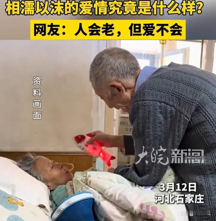 这是多少人求而不得的爱情，人会老去，可是心底的真爱却不会老！

当疾病缠身卧床时