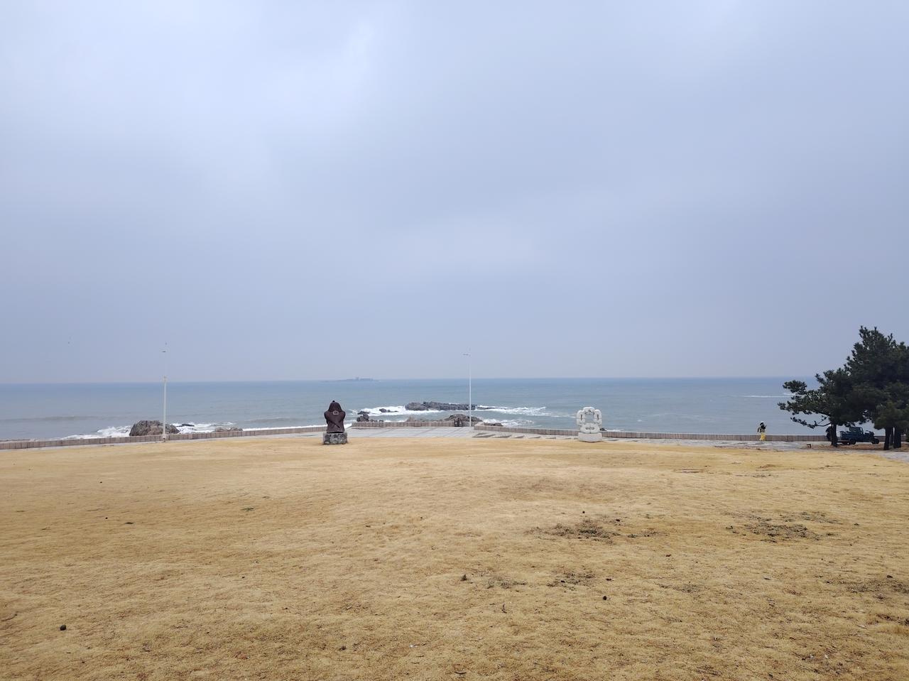 春雨贵于油！青岛新春的第一场及时雨今天暂告一段落，雨天路面湿滑，无论是驾车还是步