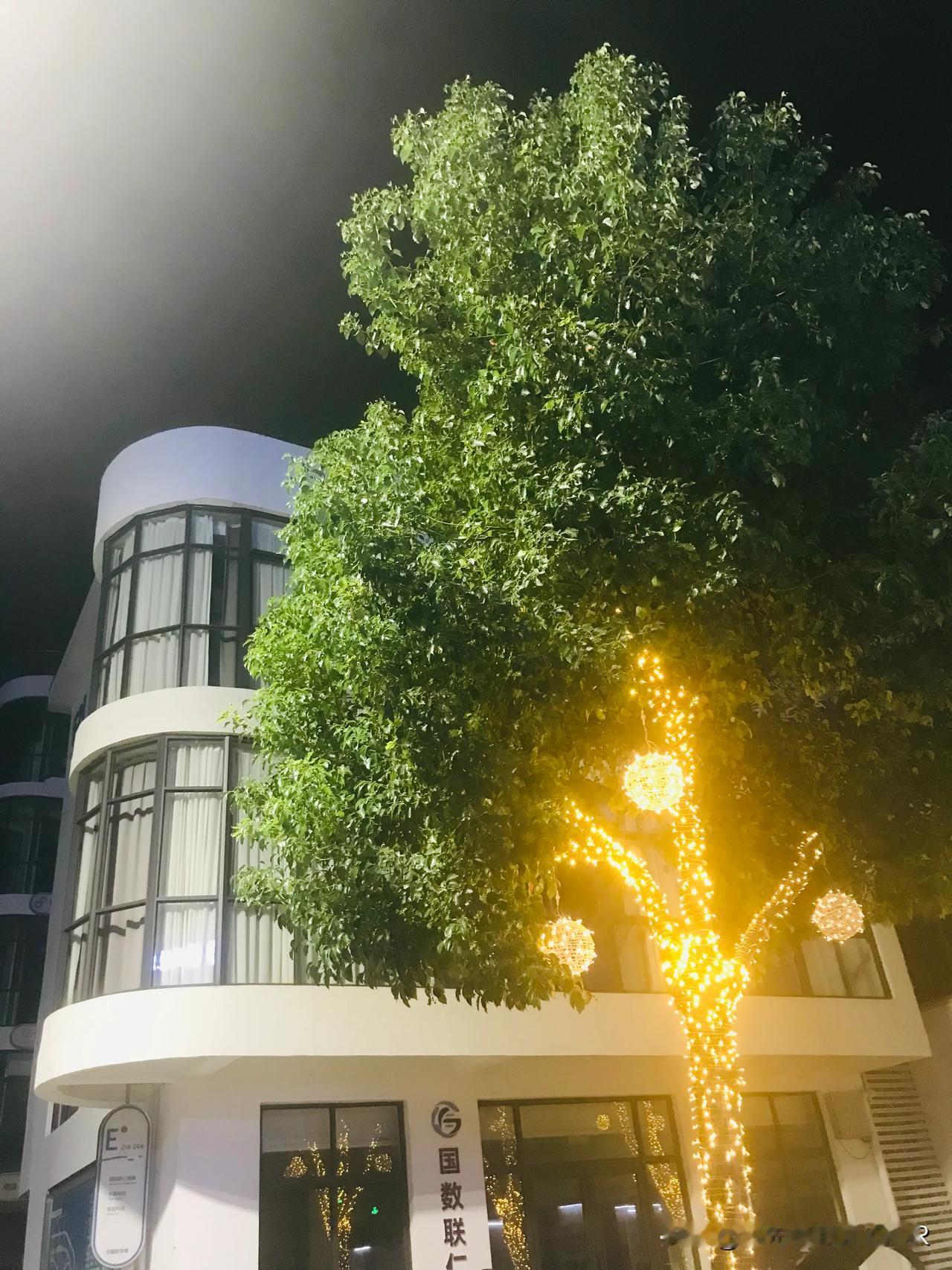重装后的创新创业广场焕然一新
半烂尾的商业综合体起死回生了
连晚上广场人气也比以
