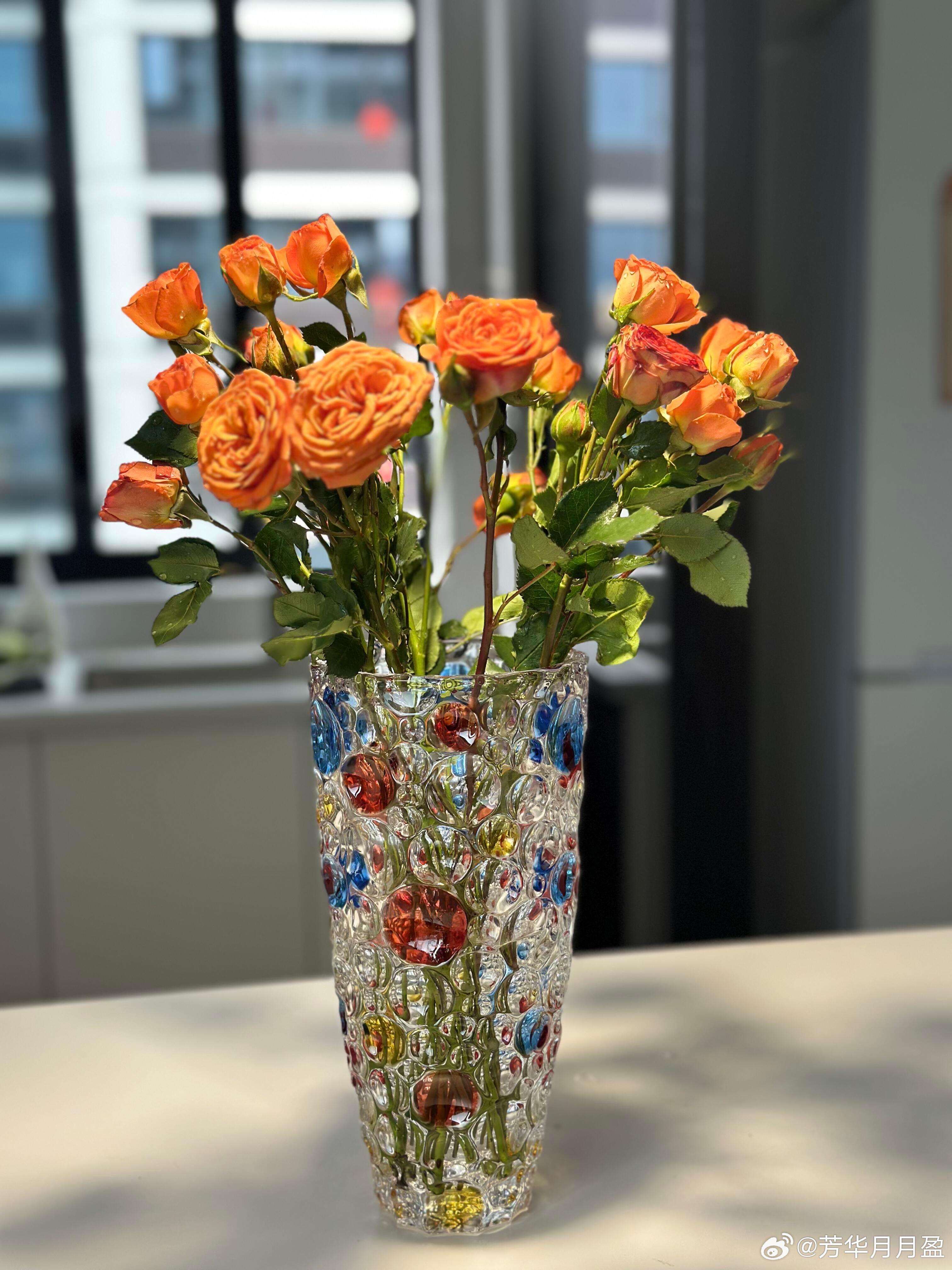 交换一张你家里的春天 