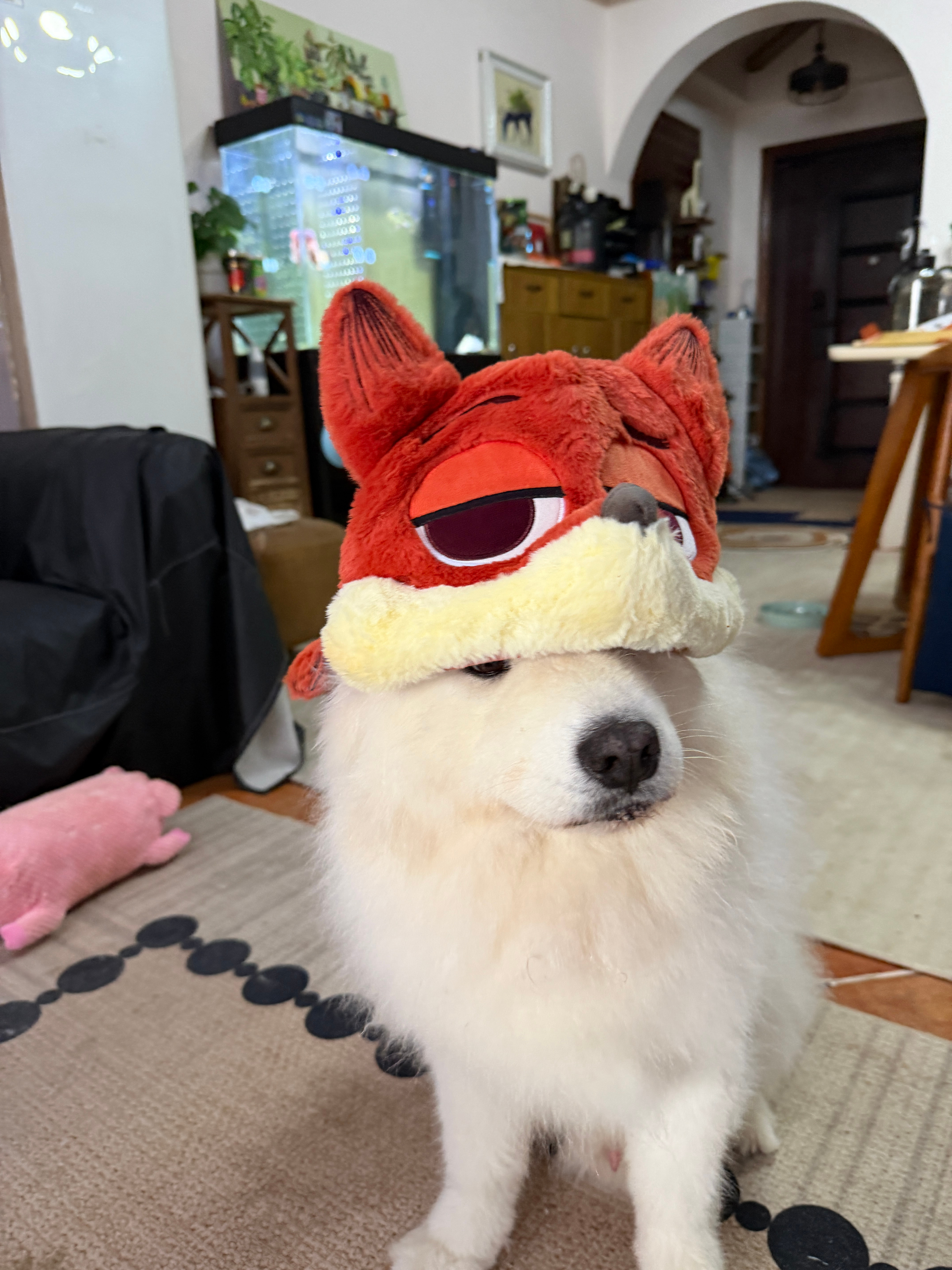 戬尼克 ​​​
