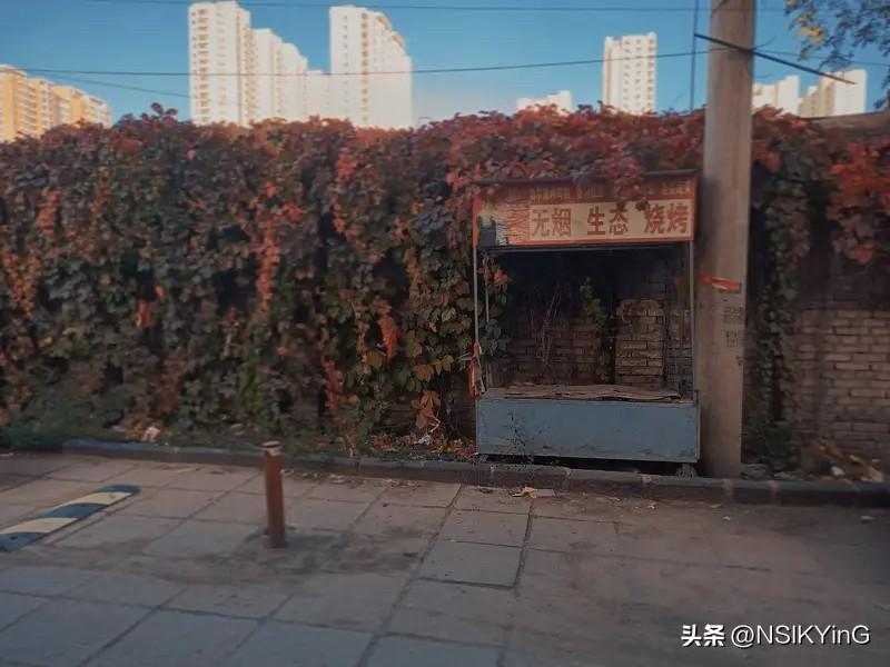 生活明朗，万物可爱，人间值得，未来可期。