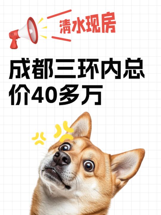 成都三环内40多万买清水现房！