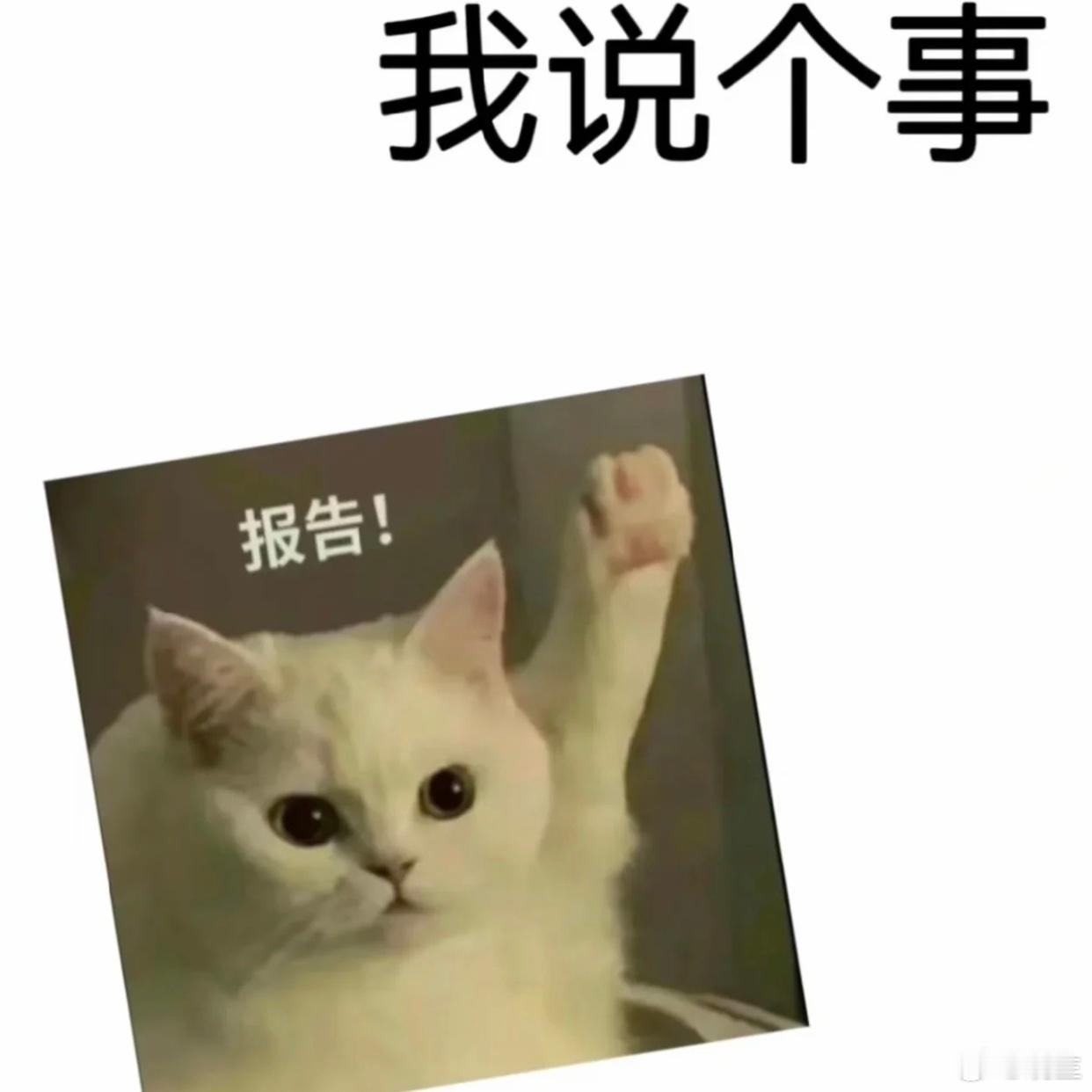 年终体验来临⚠️安排几个优惠咨询名额，名额有限，有需要的朋友们小窗私聊啦