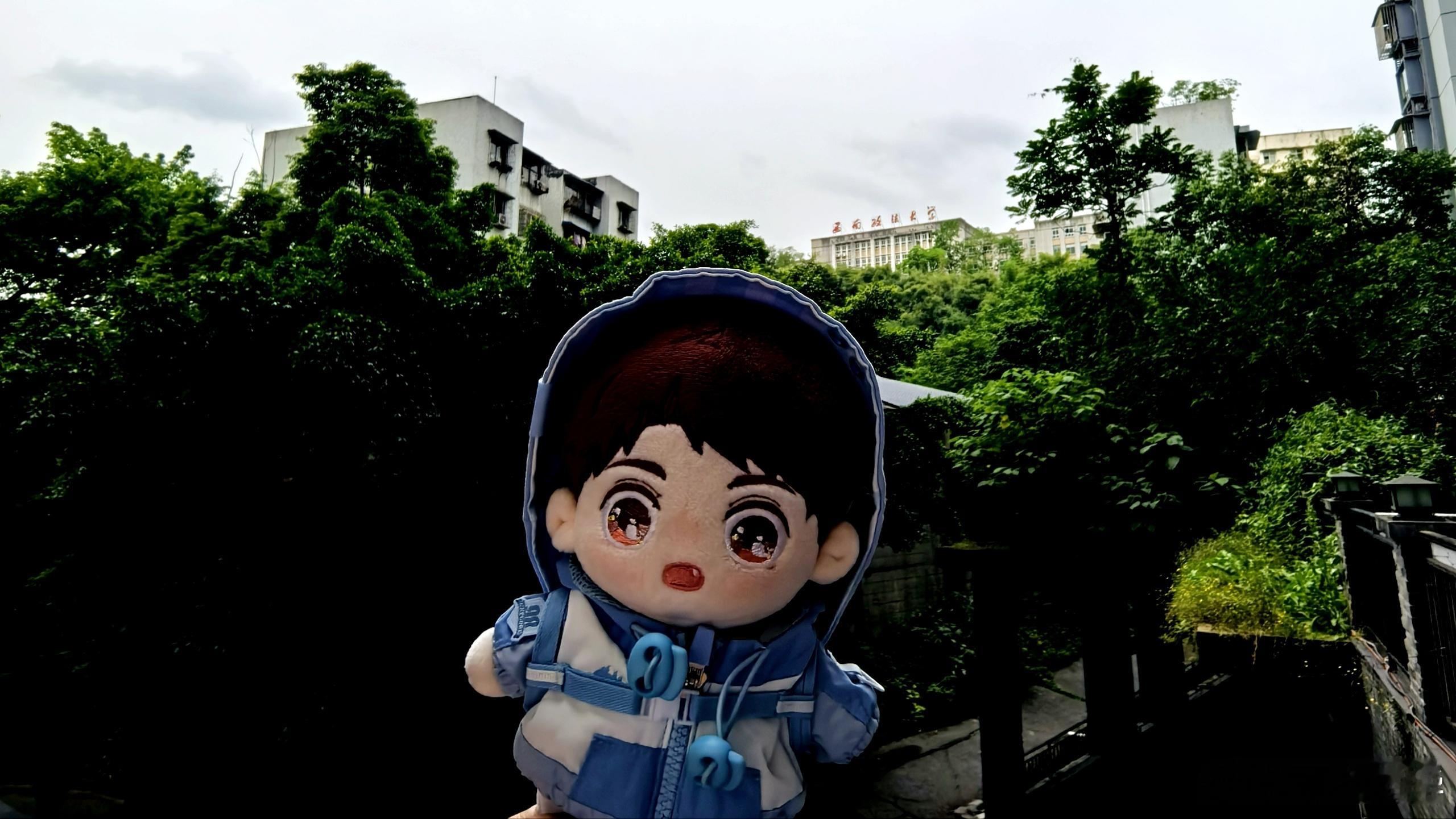 西南政法大学，黄二鱼打个卡（你想不到的角度）。 