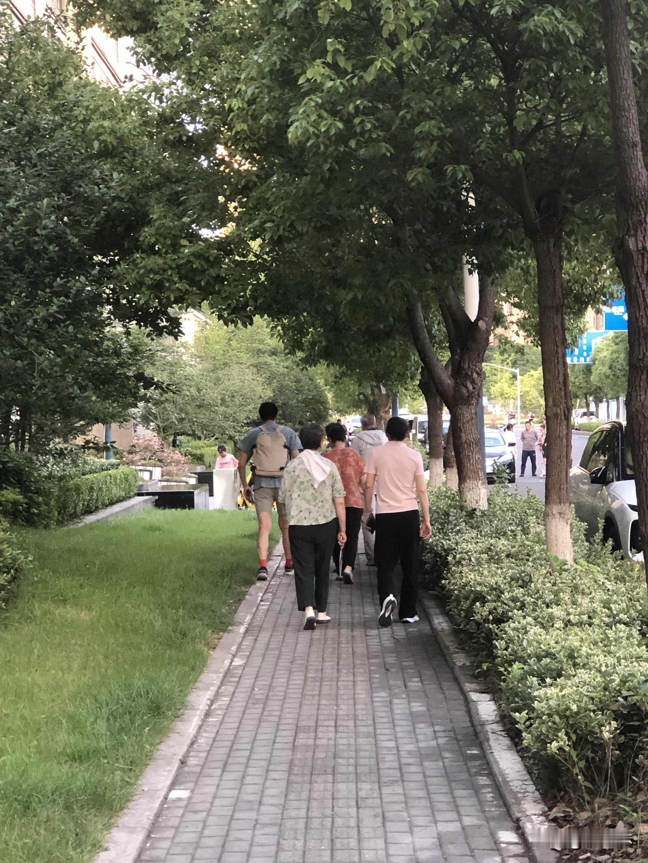 你听过最励志的一句文案是什么人生风雨别灰心，前路漫漫皆可期，踏踏实实往前走，生活