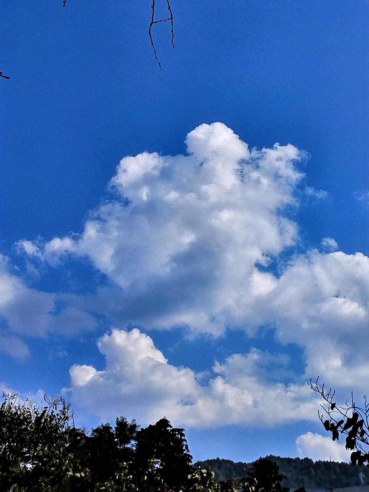 蓝天白云相互交织，天气分外晴朗，周身都被暖暖的惬意所萦绕。天空纯净而澄澈，我站在