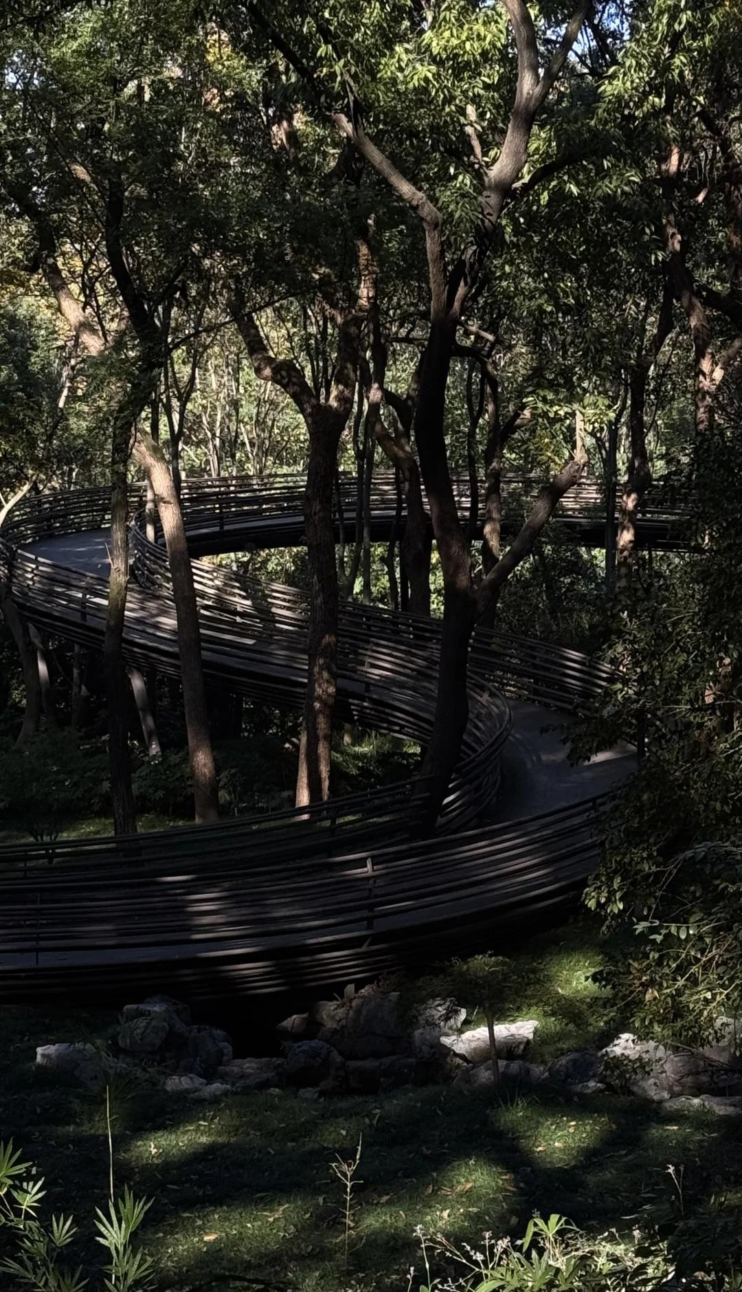 杭州小众徒步路线（小白初阶版🚶‍♀️
城市轻徒步 徒步路线推荐 户外徒步
杭州