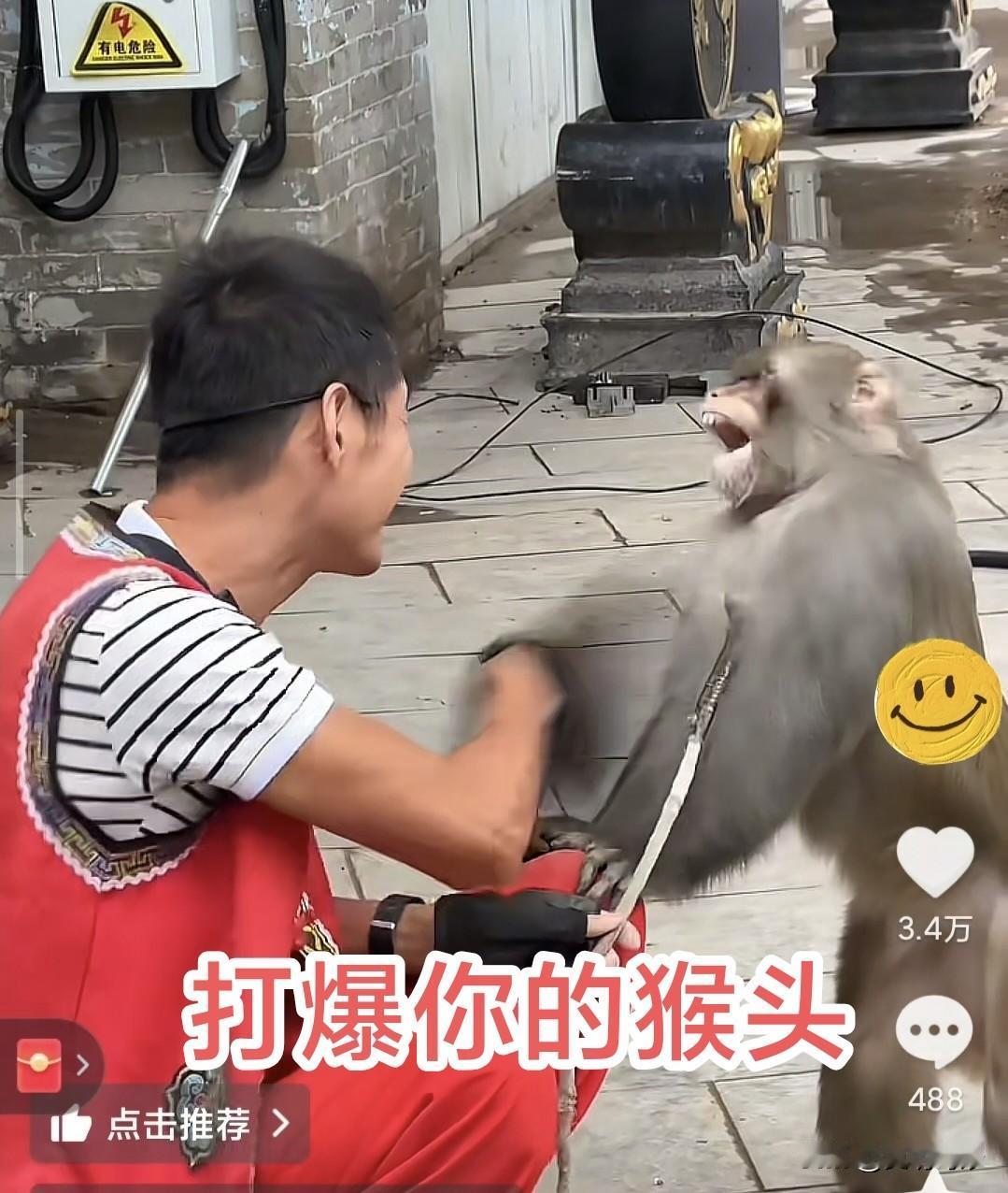 街头出现惊险一幕，一只猴子挥刀砍向耍猴人！众人惊呼！

在一场街头的猴戏中，不知