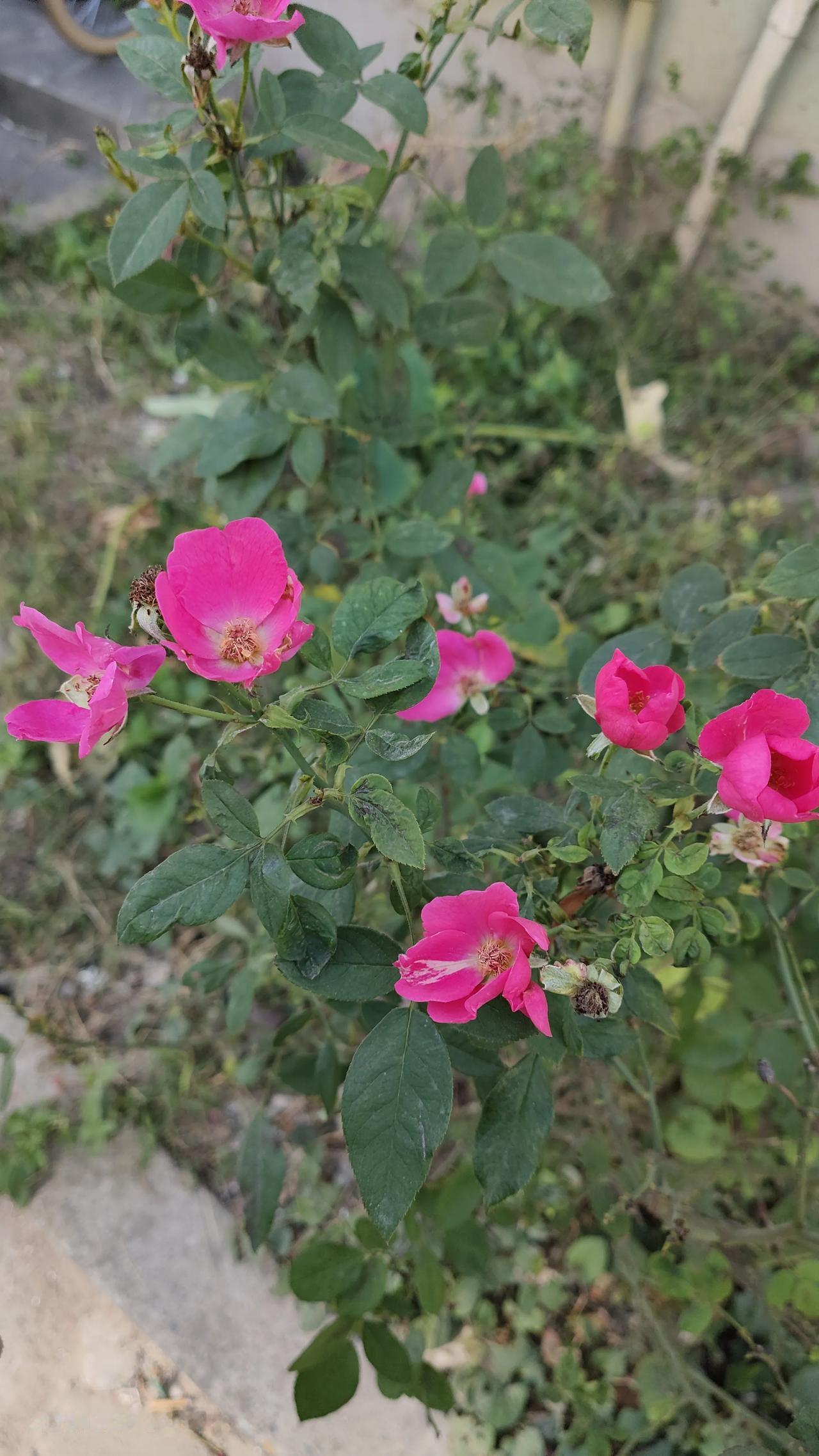 狭窄的土地
到底长不出辽阔的人
你自己知道自己的样子
出门还不带人陪同
转头还怪