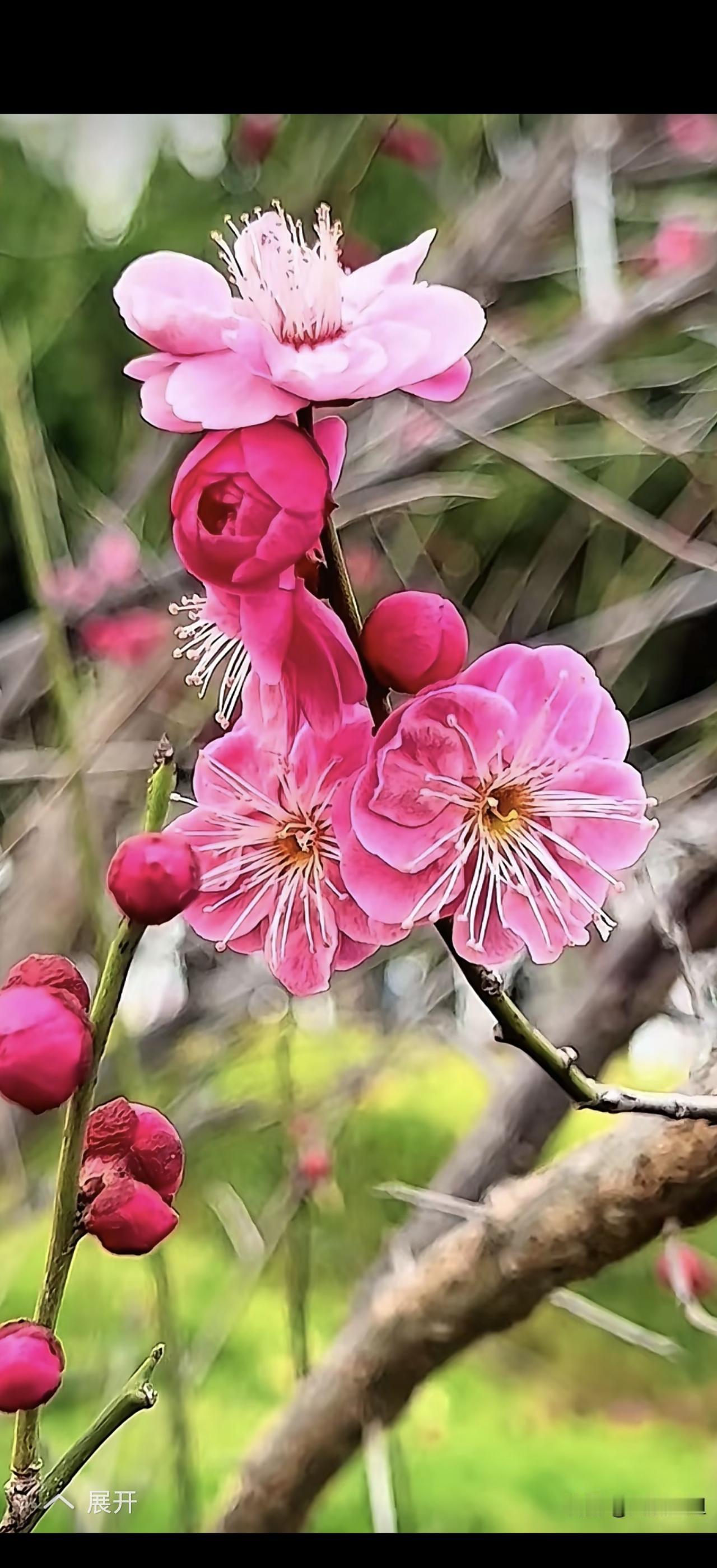 春天来了，万物复苏