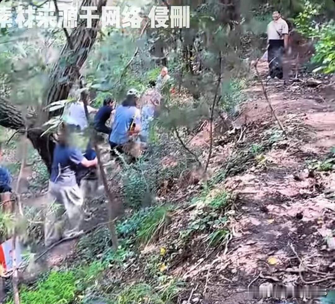 最近好多人跟风去秦岭“捡秋”，可这哪是捡啊，山里板栗还没熟透，那些人就扛着麻袋开