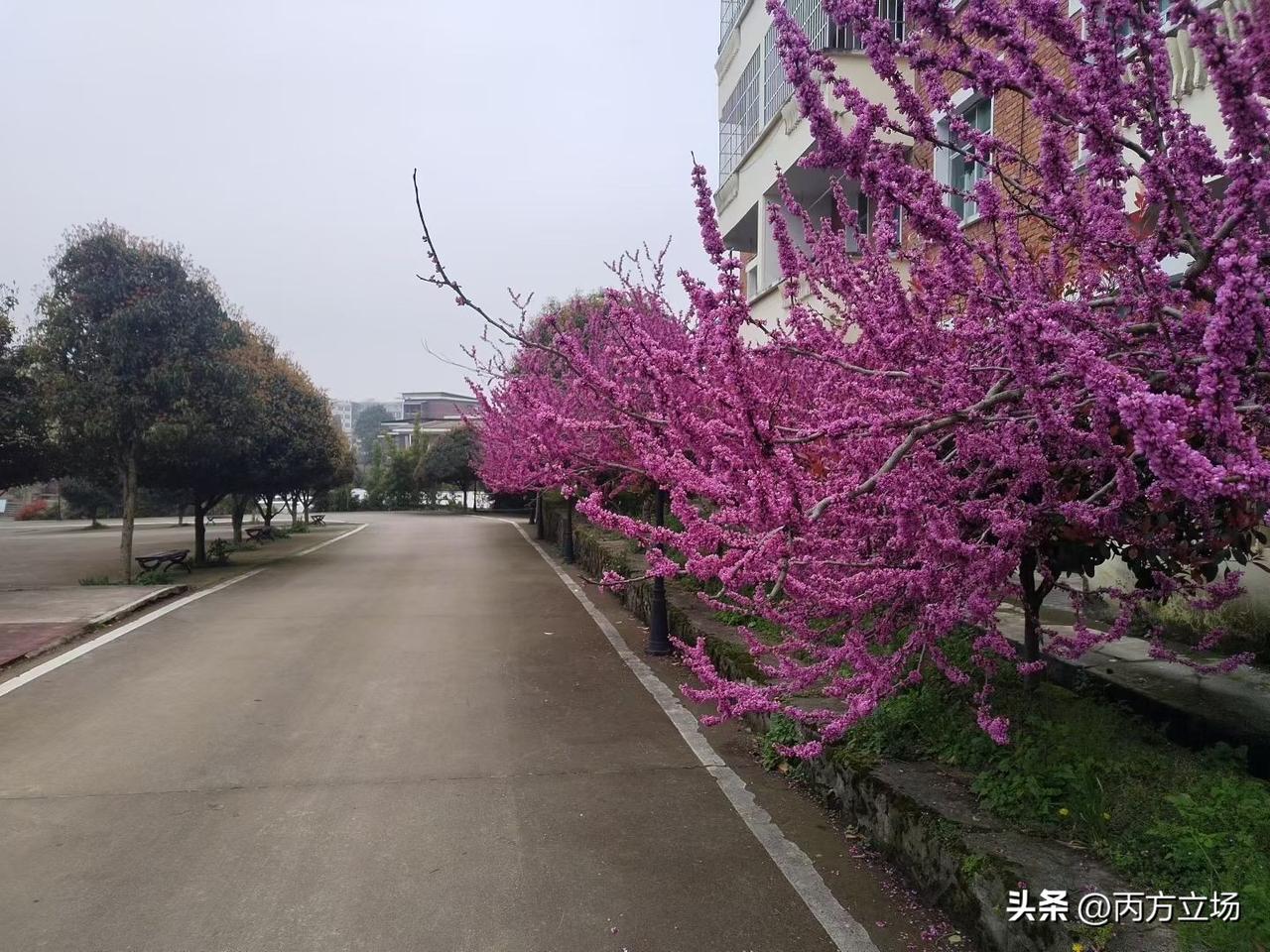 38到45岁还没结婚的男人，想找对象结婚就得先认清现实。这个年纪，要么事业小成要