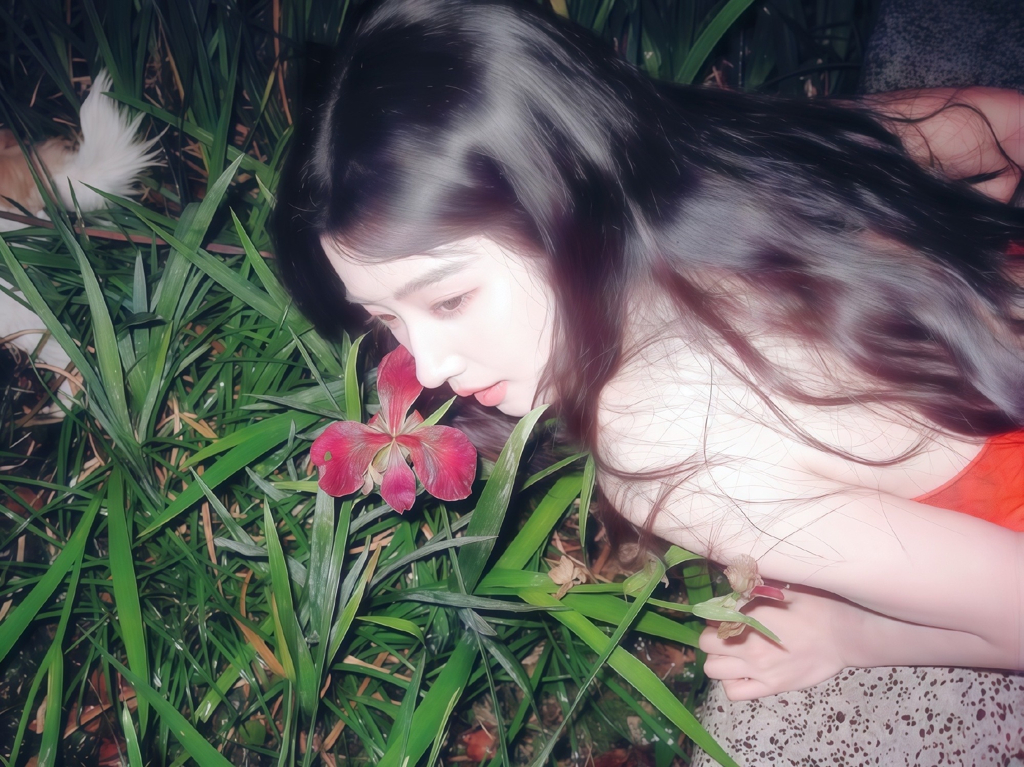 卢昱晓 🌷卢昱晓谋杀者的告白 |卢昱晓林遇安我们都是同一条路上的朝圣者，寻找着