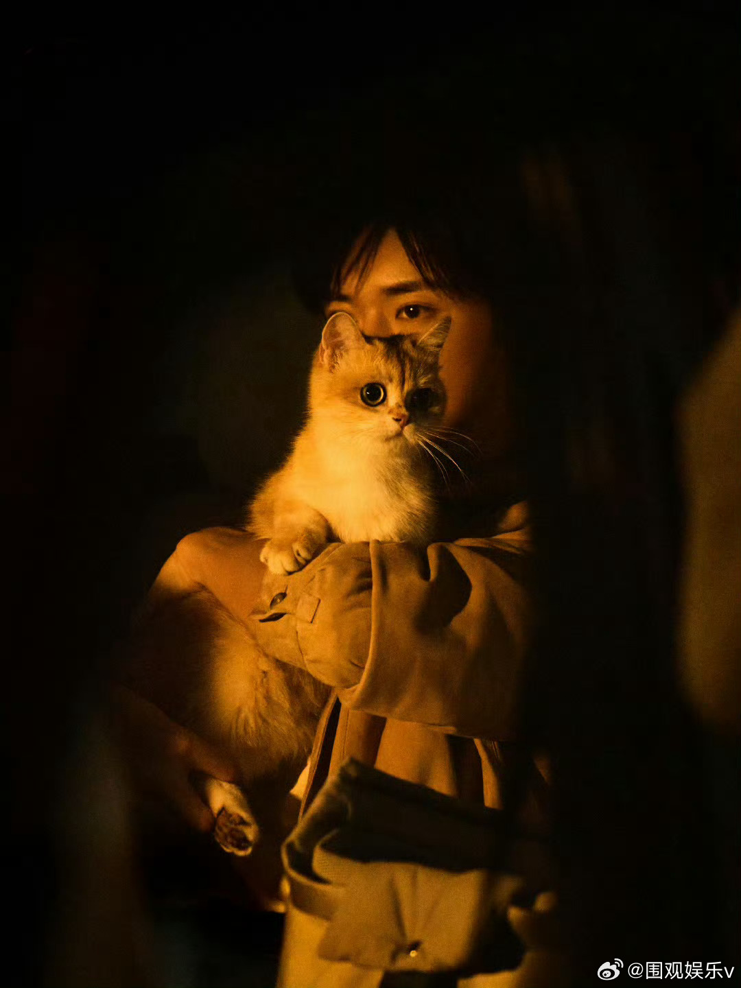 易烊千玺大猫和小猫 也算get到千玺同款了，我家也有大猫和小猫[笑而不语] ​​