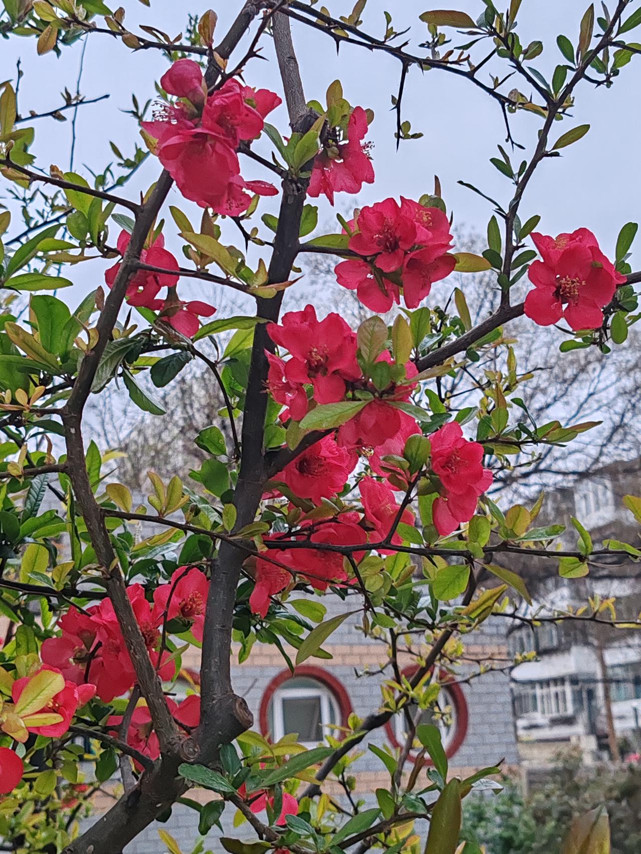 儿子月薪两万多，这超过了全国90%的人，这样的人配开40多万的车，你就别替人家操