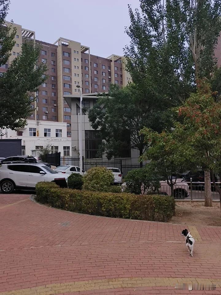 中秋节早晨下起了雨，雨是从6点钟开始下的，虽然不是很大，但是带来的全是凉意，老话