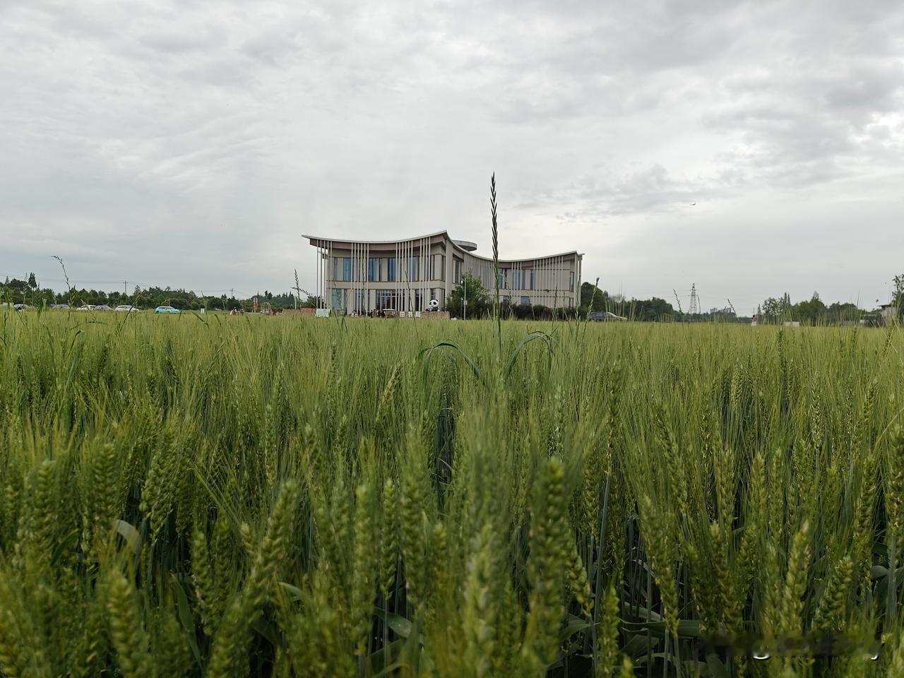 当代年轻人不结婚、不生娃、不买房，我觉得根源在于经济压力与观念转型双重叠加。房价