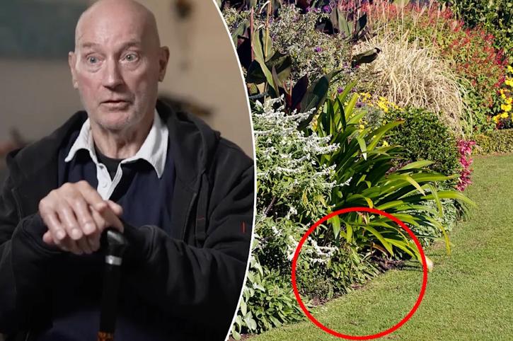 澳洲退休老人整理花园后险死！昏迷10天，医生提醒这种操作很危险

在澳洲，很多退