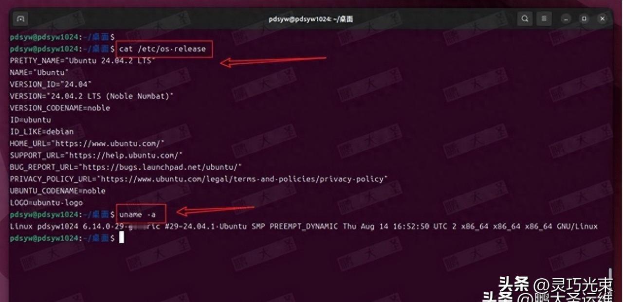 还在纠结双系统教你在 Linux 里直接装 Windows
Linux装Wind