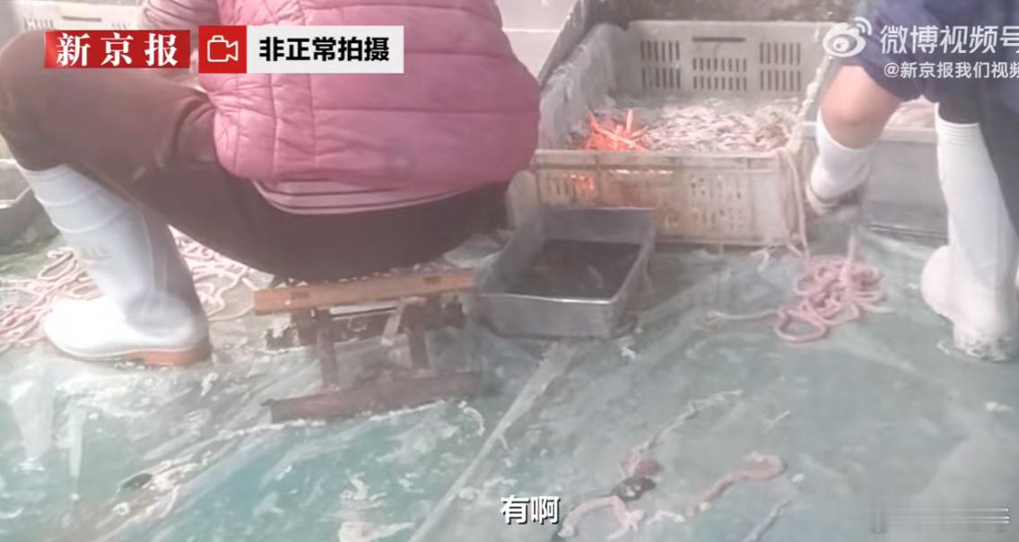 #记者卧底鸭肠鹅肠工厂#给我看懵了，这老板真是黑心啊，建议重罚！！希望餐饮老板采