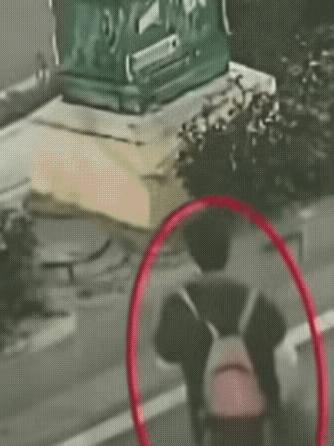 孩子就这样失踪了，很难找到的。孩子从井口滑下去，井盖自动盖好，不留痕迹，怎么能找