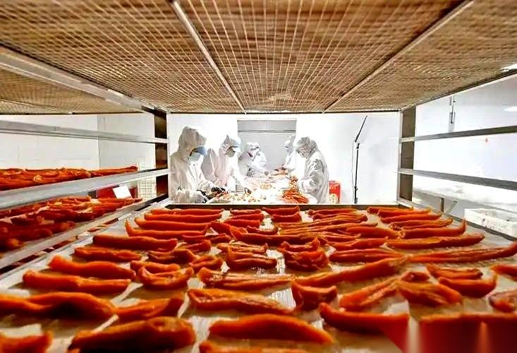 桌上就三样东西：一根烤肠，一包炸鸡，一杯冰奶茶。
它们不是在填饱你的肚子，它们是