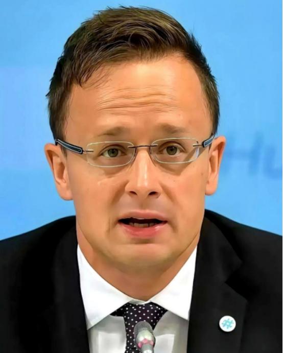全欧洲估计都得被匈牙利外长这句话给噎一下，他说：“跟中国合作，不是可选项，是欧洲