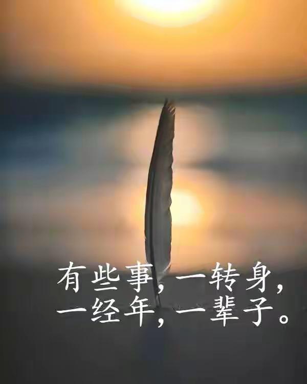 有缘天下走，不聚心中有， 静心常思念，问候似握手 [握手]相处无所求，真情存永久