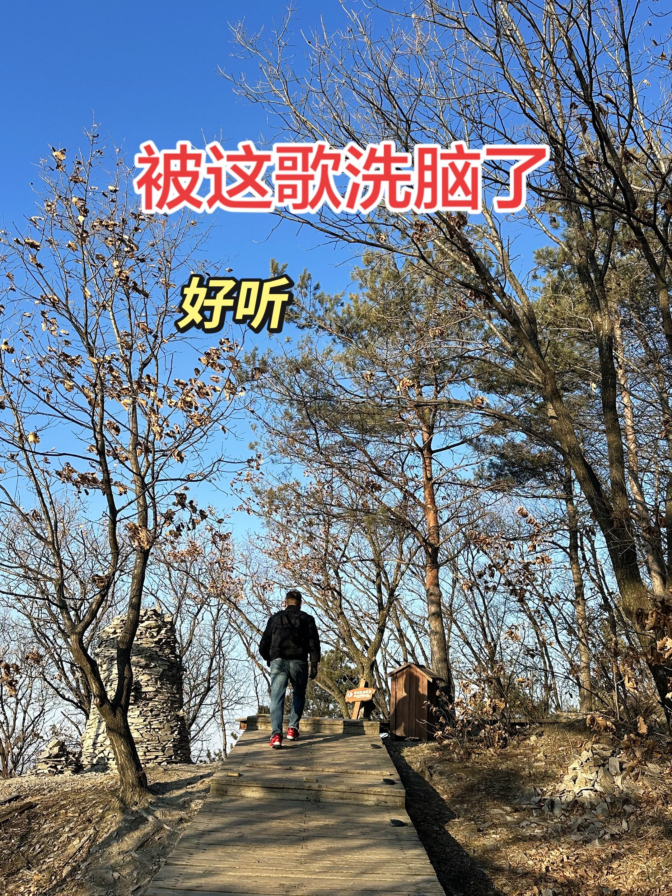 登上山顶看美景