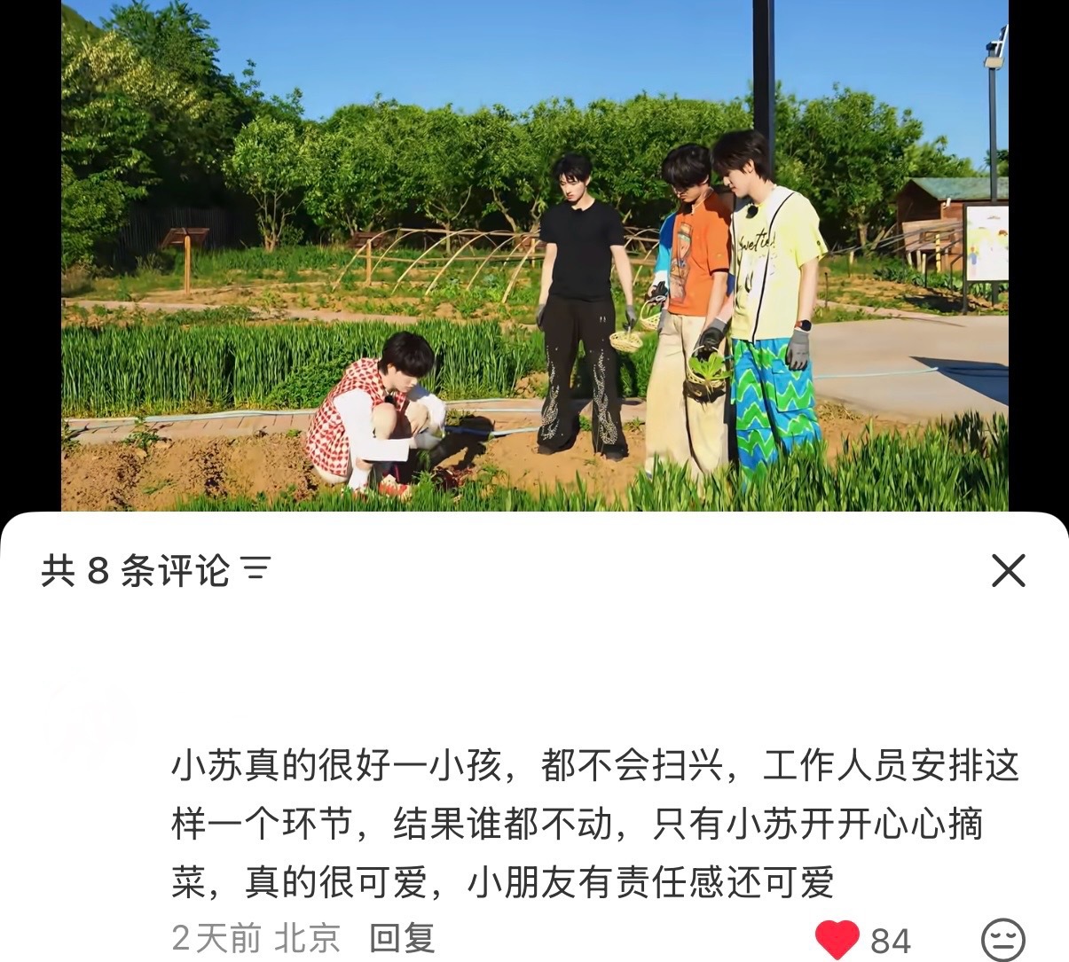 我要永远守护苏心好 