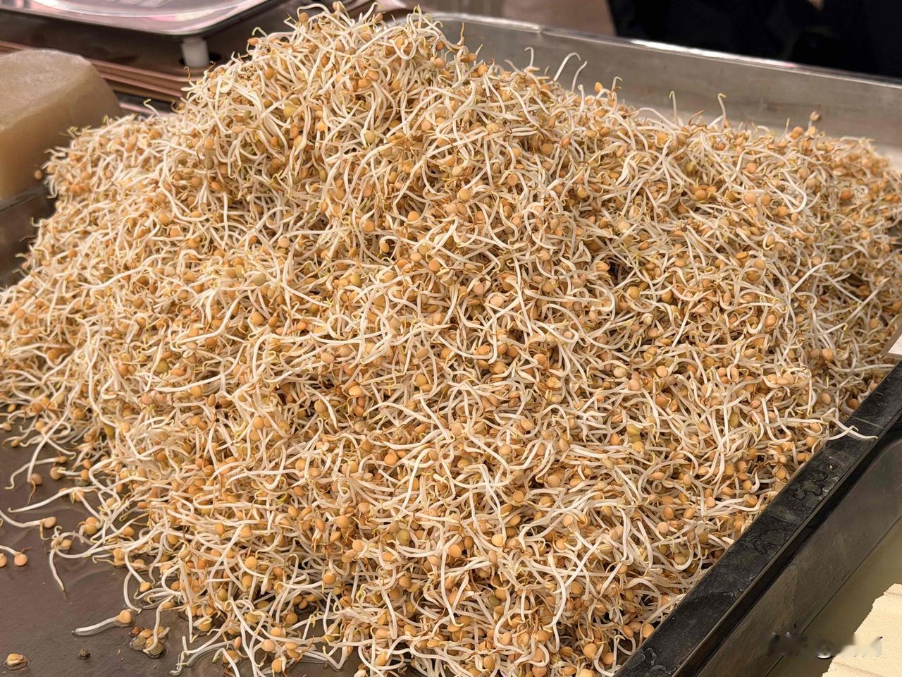 今天，我逛弥勒的滇东南农贸市场，看见了摊位上在卖金豌豆芽。我以前只是吃过豌豆苗，