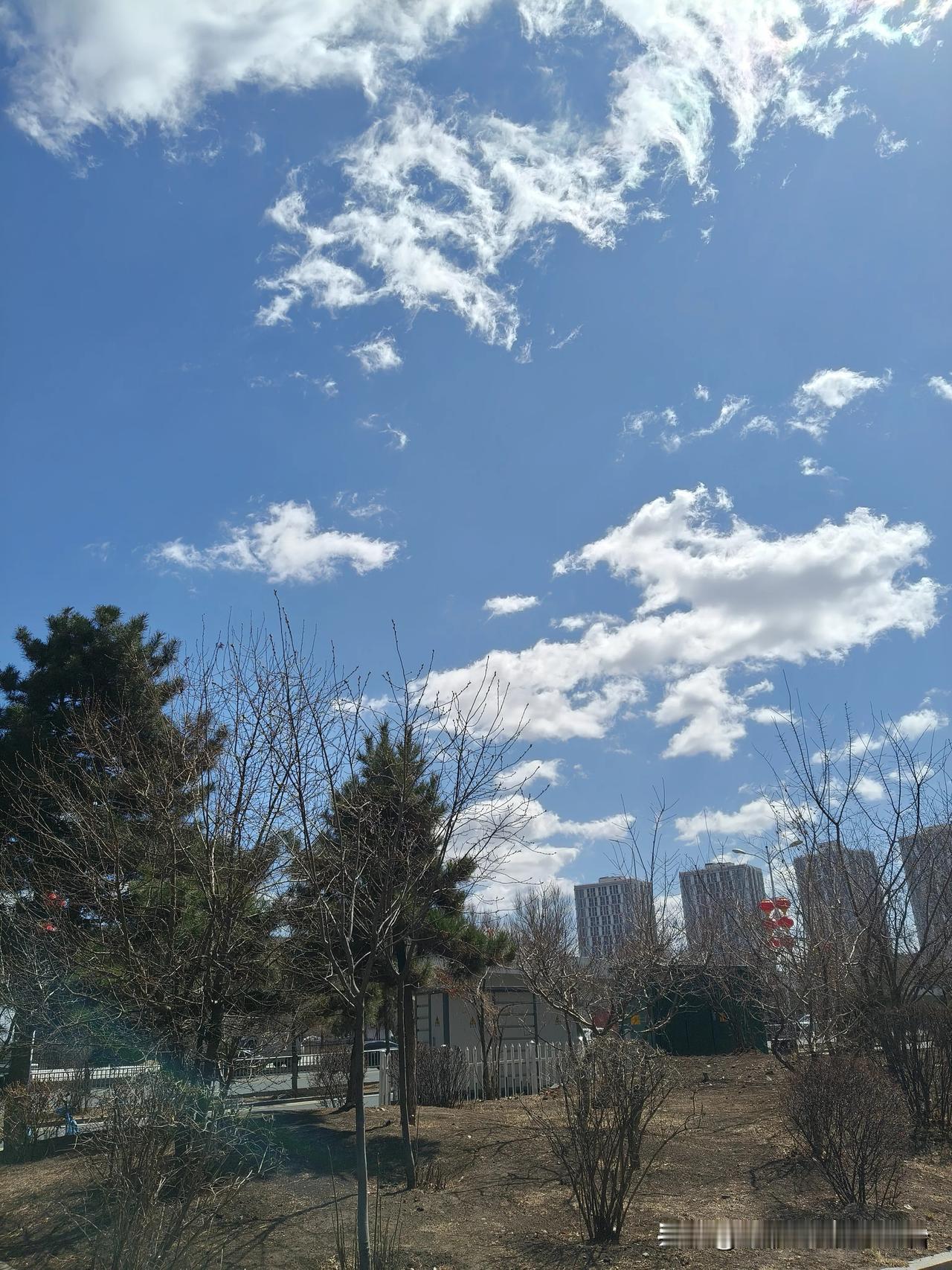 终于迎来好天气了，虽然还是有风，不足够是好天气，但是有蓝天白云，有阳光，就算是好