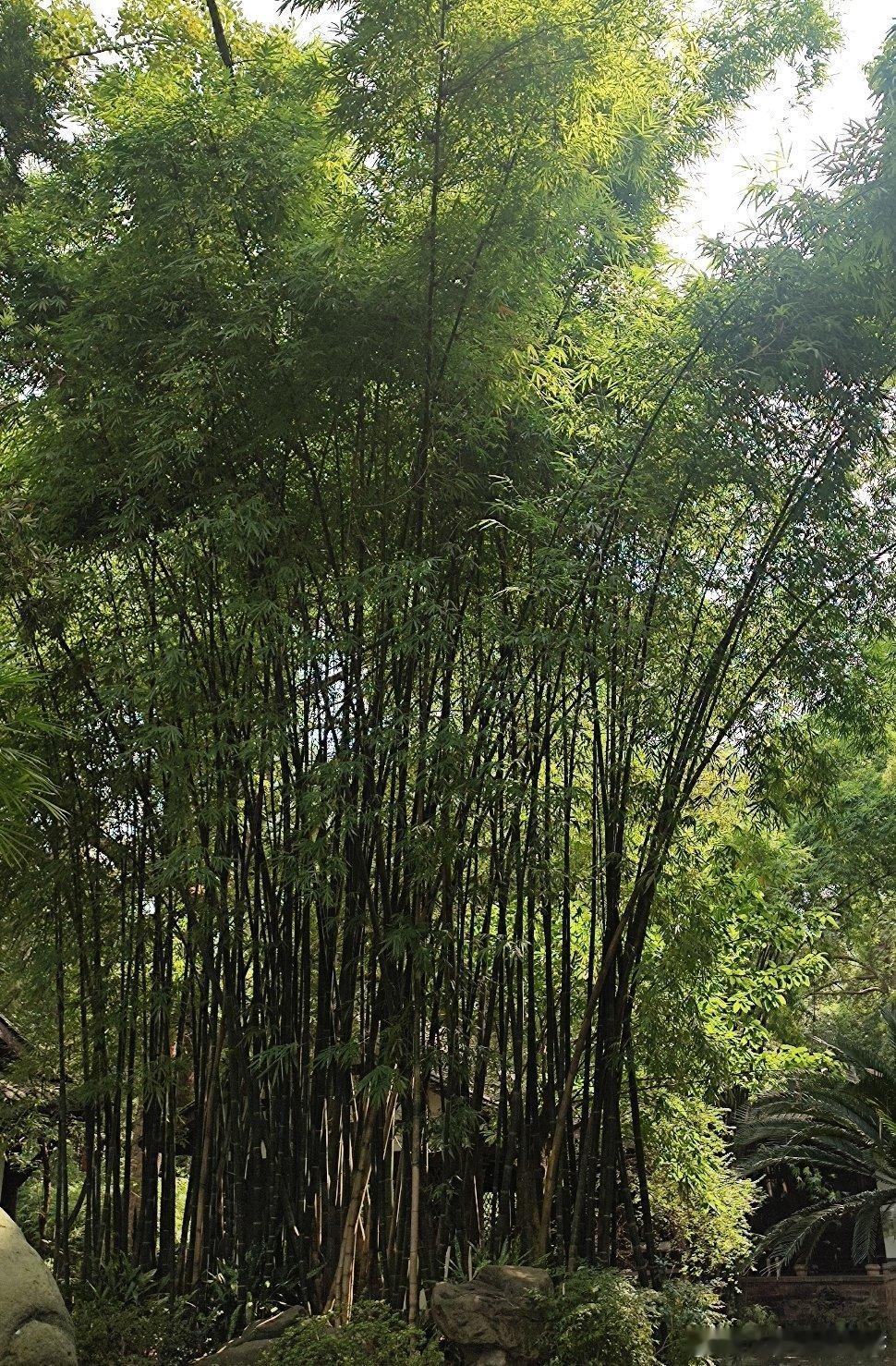 阳光信用[超话]阳光信用🎉 益心与你熙路同行人生没有幸不幸福，只有知不知足， 