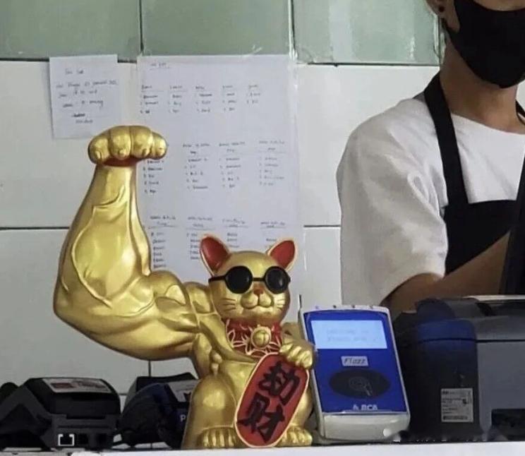 抢财猫？ 
