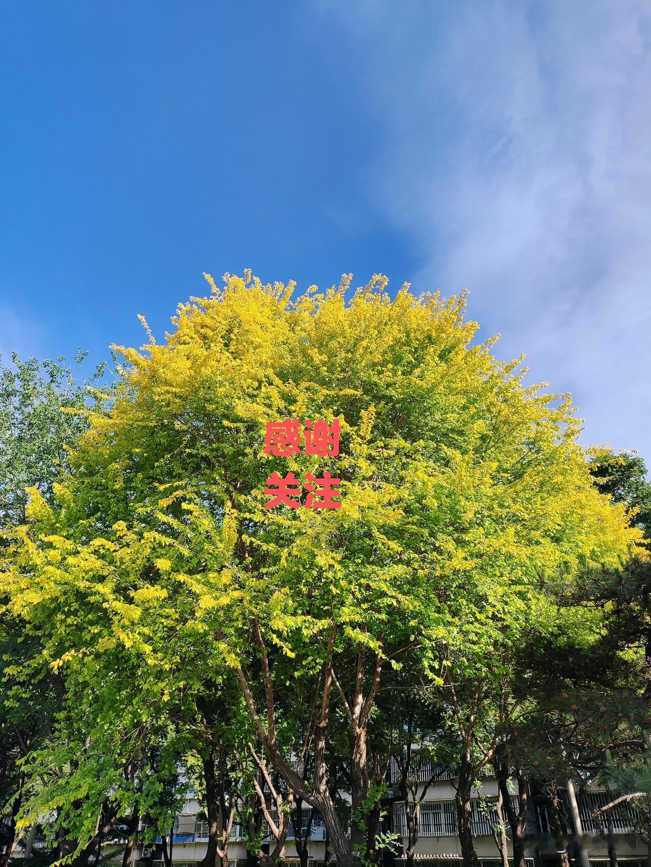 坐火车这个常识需要知道，那就是能不能携带能喷雾的化妆品呢？
答：不是完全不让带，