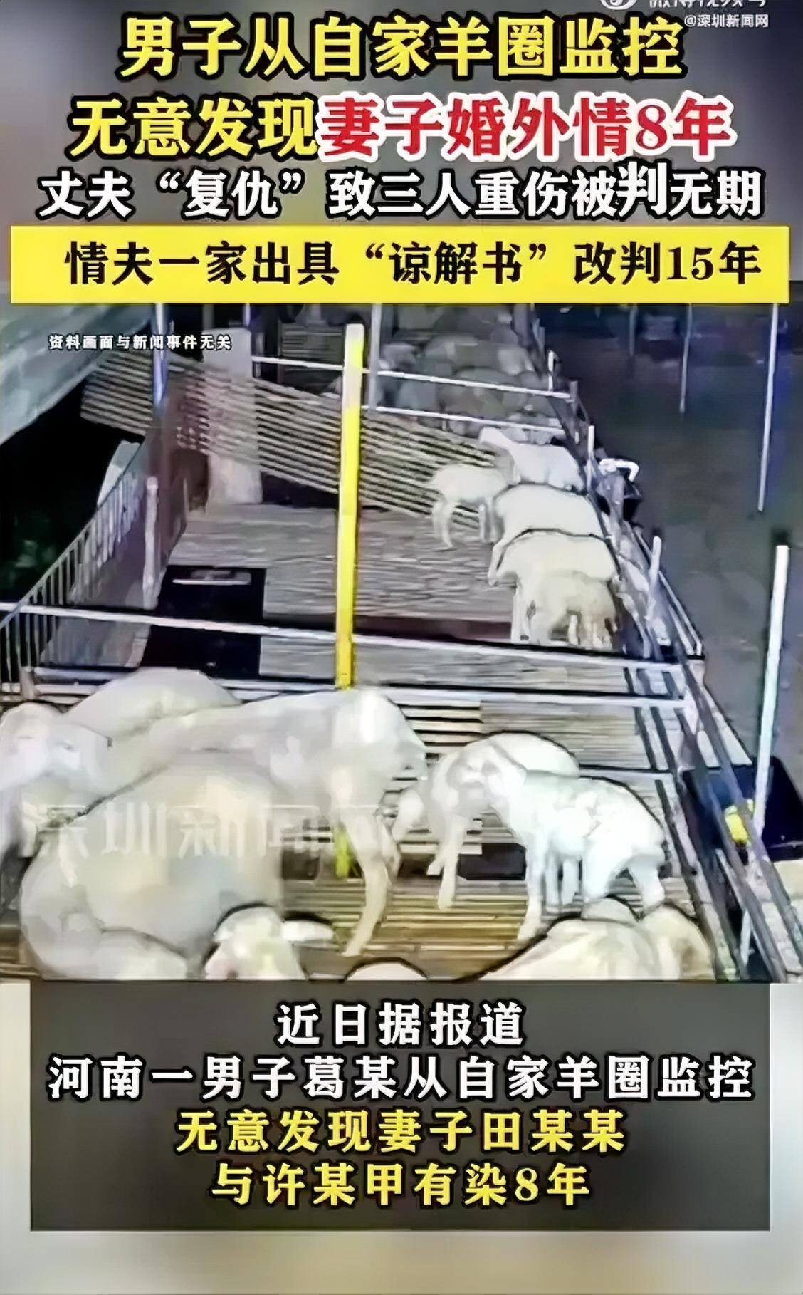 2023年2月，河南新乡的葛某在查看羊圈监控时，意外发现了一个惊天秘密——那个他