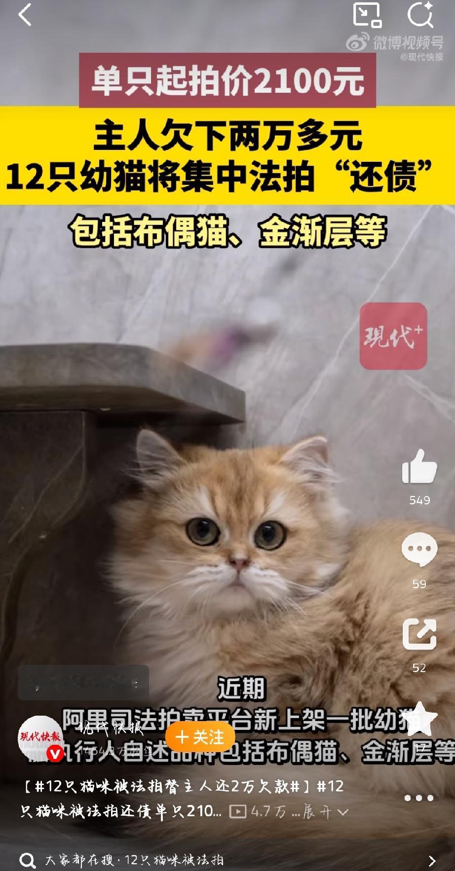 近日，杭州一则特殊的司法拍卖冲上热搜，让很多网友直呼大开眼界。杭州上城区法院上架
