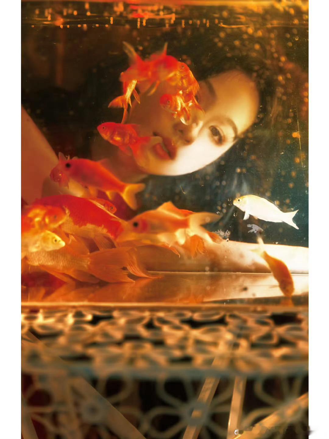 #陈都灵金鱼姬#好美好美好美[哇]嘟嘟这组照片简直是氛围感大片，复古滤镜下的嘟嘟