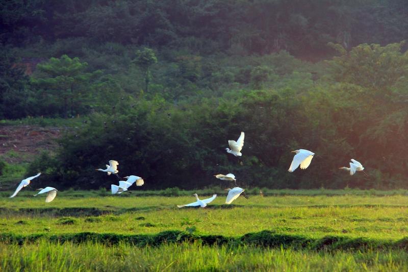 娃娃晚上精力旺盛不爱睡觉怎么办?宝宝晚上精力旺盛不睡觉，多半是白天睡多了或太兴奋