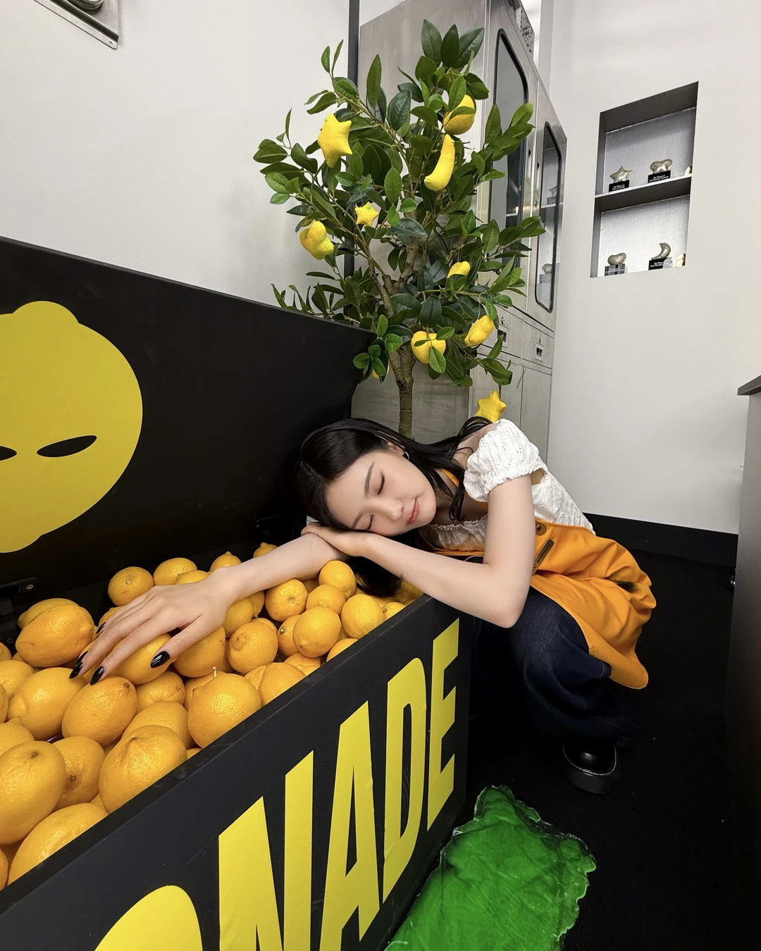 柠檬树下你和我~