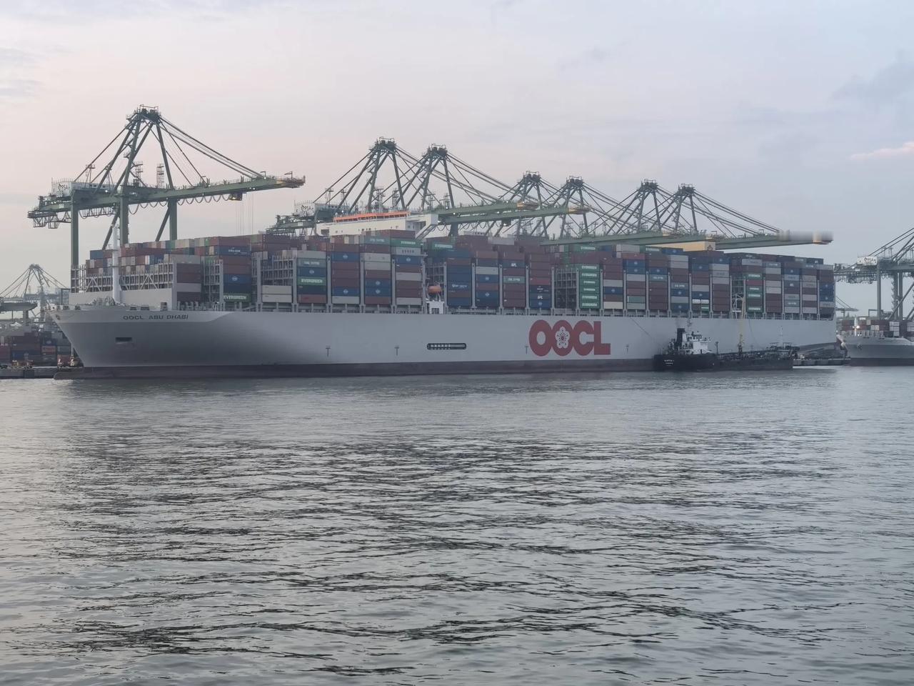 25岁正好是成为海员的黄金年龄，不要说25岁，哪怕是35岁也不算迟。如果打算去跑