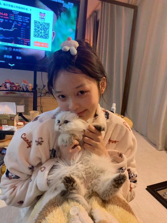 碎片🧩